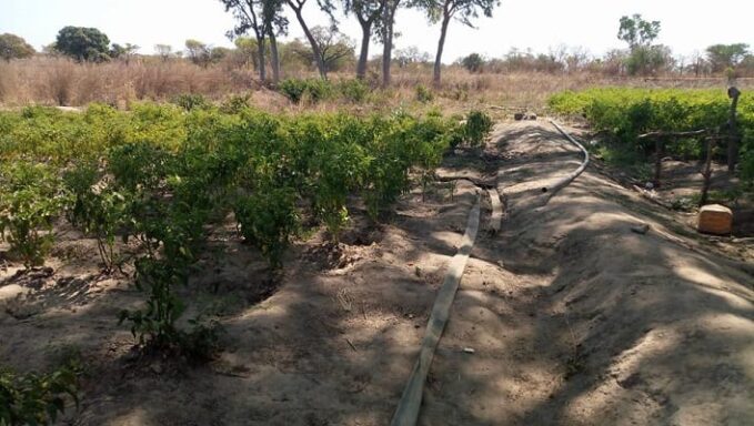 16472976_749722258509974_1540440058189640591_n 16472976_749722258509974_1540440058189640591_n