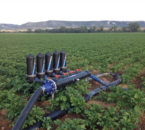 201684121826IMG_0486 201684121826IMG_0486