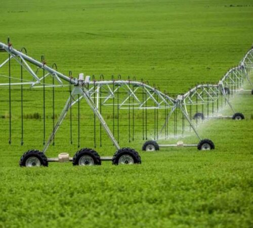 N83040911-72560339 N83040911-72560339